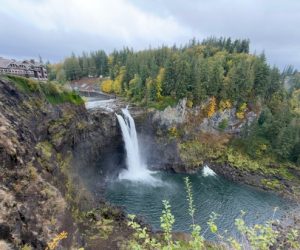 Three More Blogs to Add