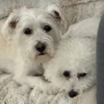 Profile picture of Teresa