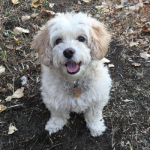 Profile picture of Anna Nelson